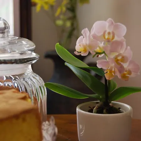 -101- Apartamento Cagliari